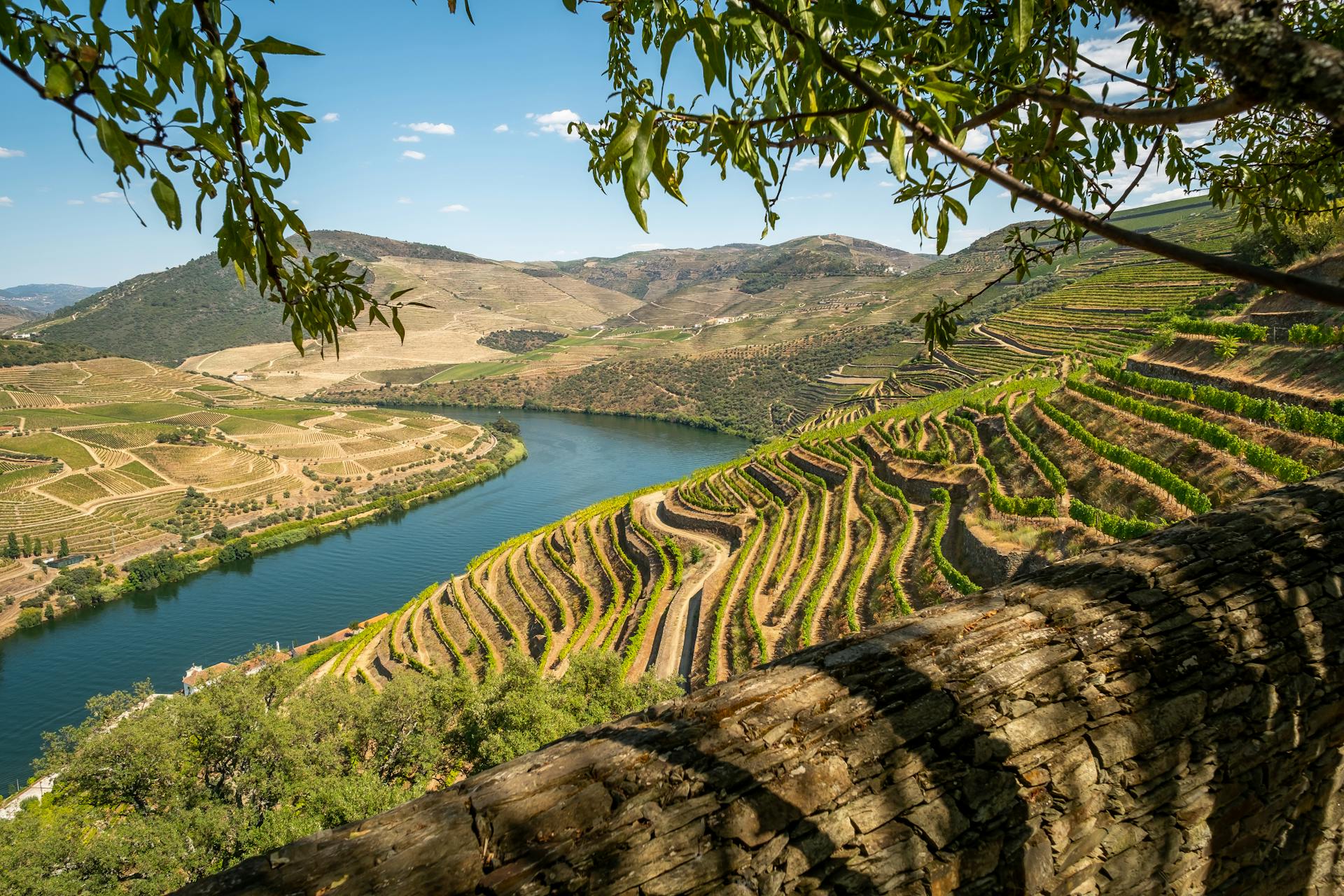 Douro desde 1298€